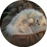 MàYò✨️ (@mayo_3015) 's Twitter Profile