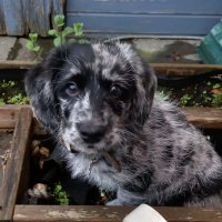 Jasper (@jasperlyons19) 's Twitter Profile