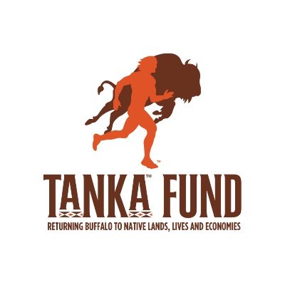 Our MISSION is to RETURN BUFFALO TO NATIVE AMERICAN LANDS, LIVES AND ECONOMIES. Tanka Fund is a 501(c)(3) that is Native American-led and staffed.