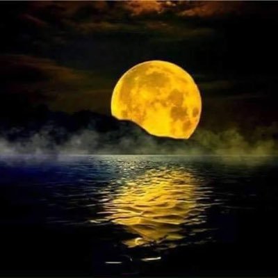Ashrafsise's profile picture. 