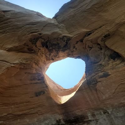 syrajason11's profile picture. Why Not