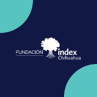 Fundación Index Chihuahua (@fundindexcuu) 's Twitter Profile