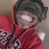 Gingerbreadman504 (@wil97492) 's Twitter Profile