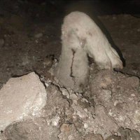 Doğan (@doan172355) 's Twitter Profile