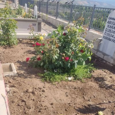 karakaya_cuneyt's profile picture. Kul kaderini yasar.