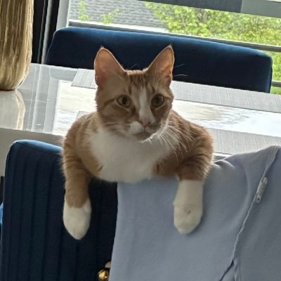 VasUSA93's profile picture. 