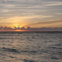 Ausaf Ahmad (@ahmad79419) 's Twitter Profile