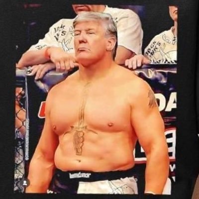 A Radical Left Wing Gaming Nerd Turned Proud Conservative MMA Fan. #Fight