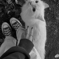 امل القرني (@amal_805) 's Twitter Profile