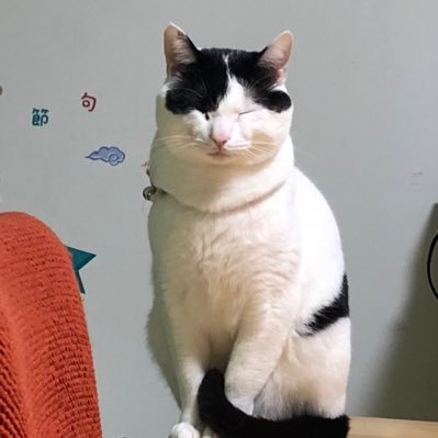 branchout6581's profile picture. 