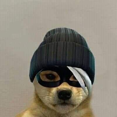 searcesss's profile picture. 🇦🇷 -17 |  soy semi- player en teclado- Fornite  - PC - ARG 

➡️Jugador de :@
➡️Manager Contact: @