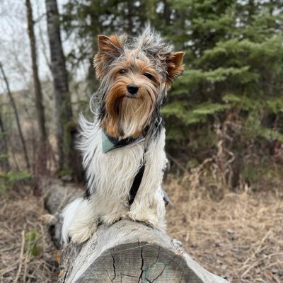 banawnuh's profile picture. garretticus fan account | i check twitter at least twice a year