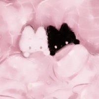 まる (@shikinosuke_0) 's Twitter Profile
