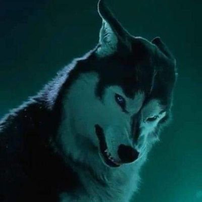 Christo16353417's profile picture. Planet Crypto