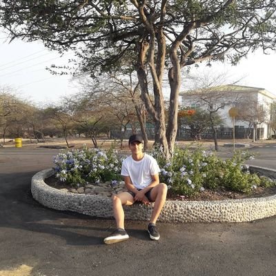 davidaragundy's profile picture. 