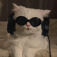 m. 🍒 (@wmjsby) 's Twitter Profile Photo m. 🍒 (@wmjsby) 's Twitter Profile Photo