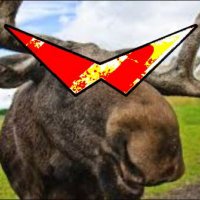 moose (@realehsaurr) 's Twitter Profile Photo