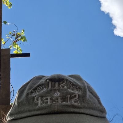 galdeiasb's profile picture. futura angelita habr