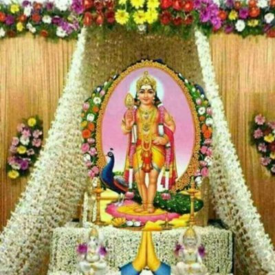 palanibe91's profile picture. 