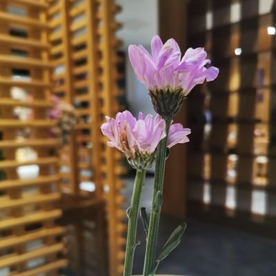 wsy603's profile picture. 区块链价值投资人！