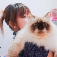 π (@juniyakin) 's Twitter Profile