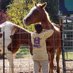 DeAnna Raybourn (@draybourn91946) Twitter profile photo DeAnna Raybourn (@draybourn91946) Twitter profile photo