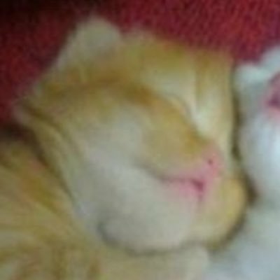 topher1113's profile picture. I love my gf. missing you everyday