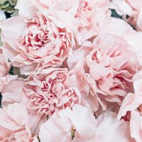 Yasuko_お金の増やし方 (@yasuko553835) 's Twitter Profile