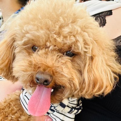 Rei_JuJu0303's profile picture. 趣味垢/保育士/ライブよく行きます/ザ・プリズナー/SA/イギリス人/ザ・マスミサイル