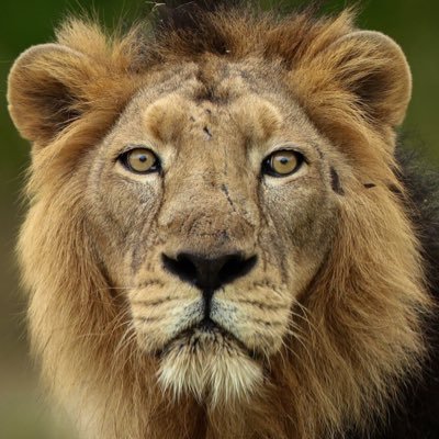 suhasraj4444's profile picture. Not everyone likes us. But not everyone matters..!!