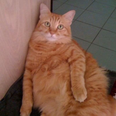 JManchar94801's profile picture. ปอนด์ภูวิน เพิร์ธแซนต้า หยิ่นวอร์