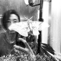 Will Fan (@bizarreaobscura) 's Twitter Profile