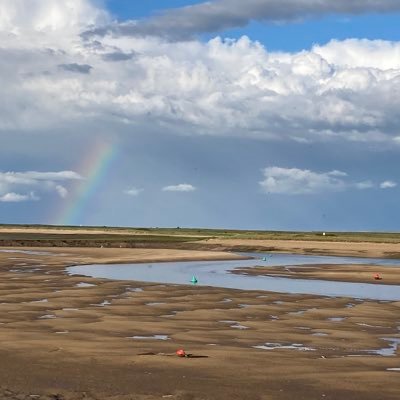 Jo55231297's profile picture. 