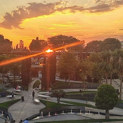 p_rodos's profile picture. 