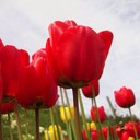 paul berrigan - @paulberrigan - Twitter