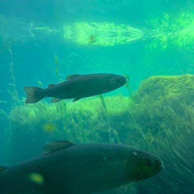 Tmsks11's profile picture. 