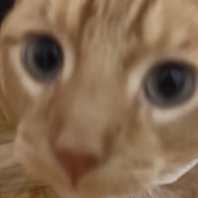 K33mK0ng's profile picture. 고영 계정에서 딴 길로 새버림...