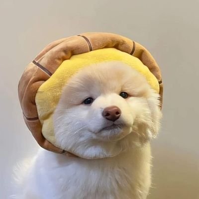 debbyljj1219's profile picture. 