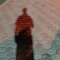 گَوَزنِ مَست (@gavaznemast) Twitter profile photo