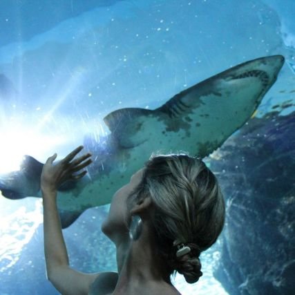 FlyingFox_ff's profile picture. Architecture, design 🏰 videogames 🎲⠀⠀⠀⠀⠀
*CS - my guilty pleasure/⠀⠀⠀⠀⠀⠀⠀⠀⠀⠀
Videogames are the new type of art, cybersport is a real sport.