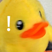 拾柒_🦆 (@seventeen231117) 's Twitter Profile Photo 拾柒_🦆 (@seventeen231117) 's Twitter Profile Photo