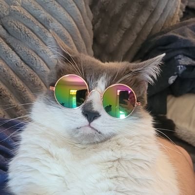 ilovepandas1234's profile picture. 