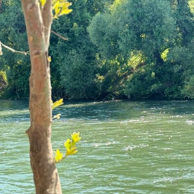 ismailtahaahmed's profile picture. بكالوريوس في كلية العلوم الإسلامية