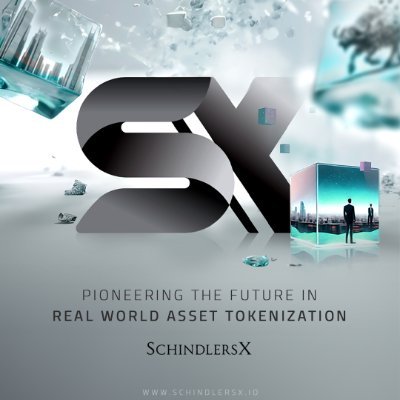 Schindlers Digital Assets (Pty) Ltd is the owner of SchindlersX and is a licensed financial service provider, registration number 53789.