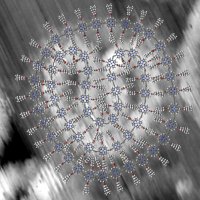 Luis Perdigao 🔬👨‍💻 (@lmaperdigao) 's Twitter Profile