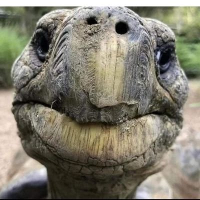 BondanP63263423's profile picture. BALI island
Berusaha menjadi manusia yg lebih baik

Working at renewable energy