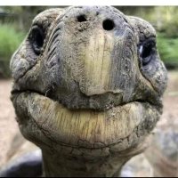 TJ (@bondanp63263423) 's Twitter Profile