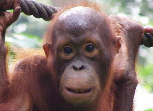 carolannpeters1's profile picture. 