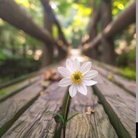 فاطمة🤍 (@ffato113) Twitter profile photo