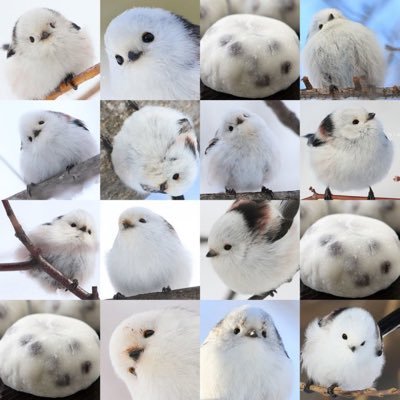 Gggo41Sosososo's profile picture. 